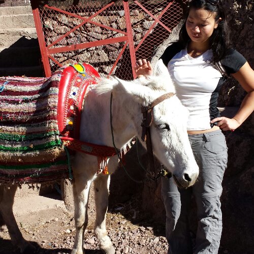 IMG_20131223_223042.jpg image