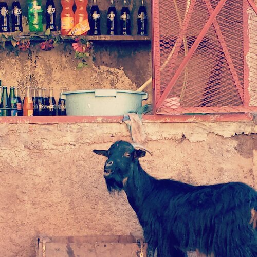 IMG_20131223_223913.jpg image